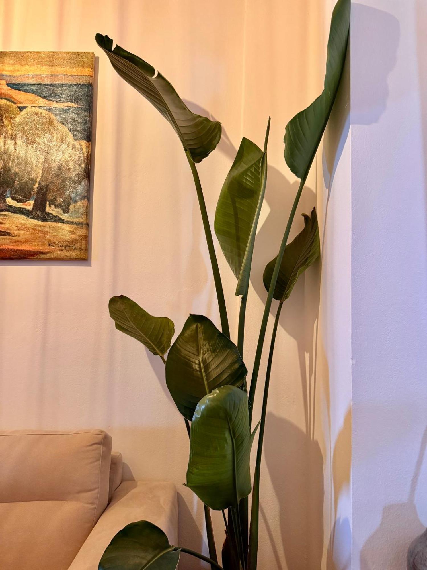 Jasmine Stoupa别墅 外观 照片